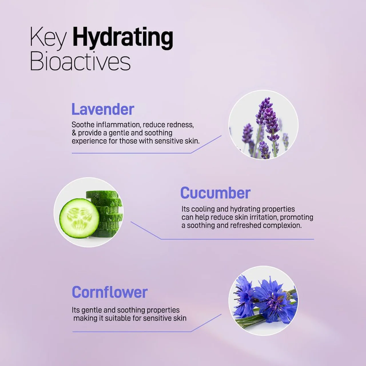 Refresh Botanicals - Calming Facial Moisturizer - Lavender & Cucumber | 50 mL - Image 5