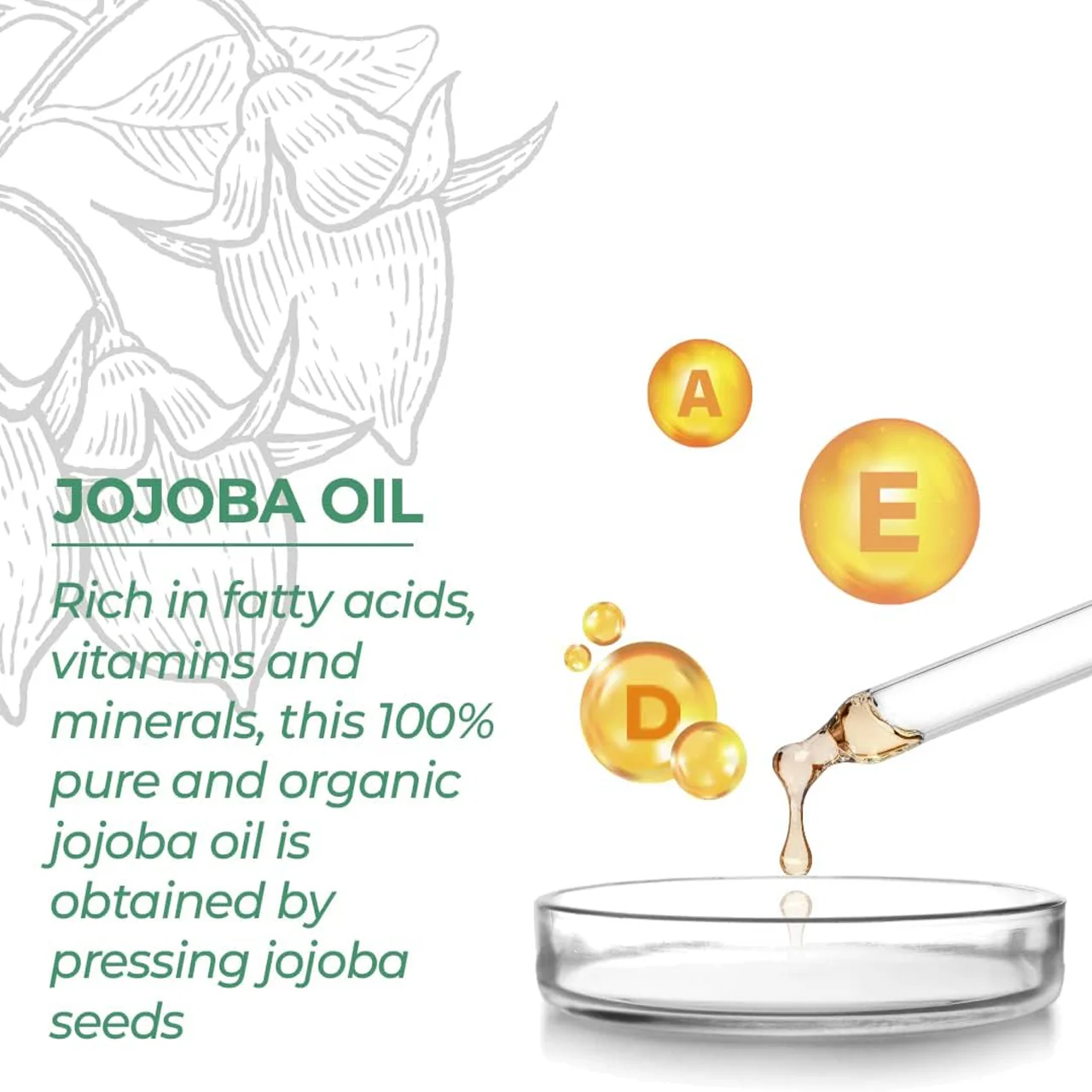 Refresh Botanicals - Certified Organic & Cold Pressed Jojoba Oil | 90 mL - Image 3