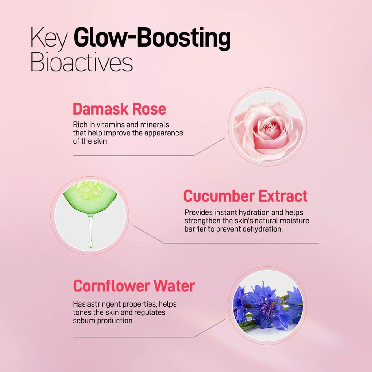 Refresh Botanicals - Glow Boosting Facial Moisturizer - Rose & Cucumber | 50 mL - Image 4