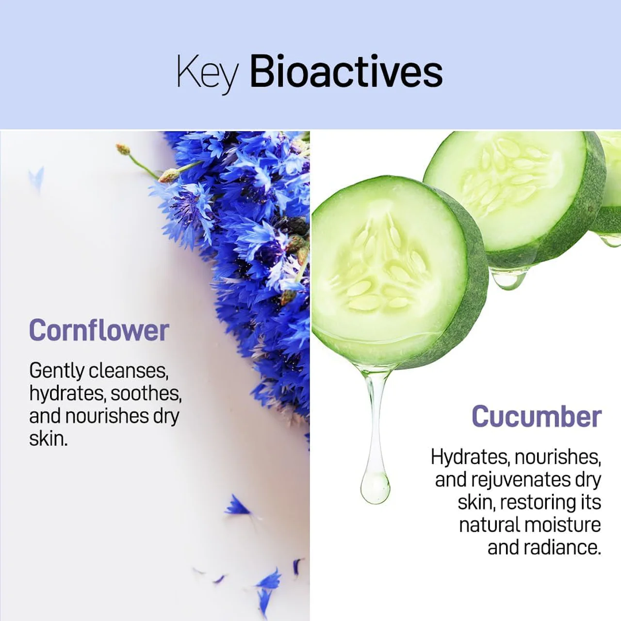 Refresh Botanicals - Hydrating Facial Cleanser, Cornflower & Cucumber | 100 mL - Image 3