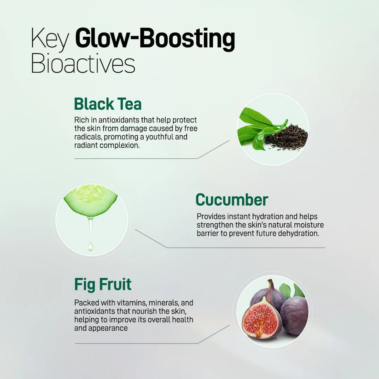 Refresh Botanicals - Intensive Hydrating Serum - Black Tea & Cucumber | 50 mL - Image 3