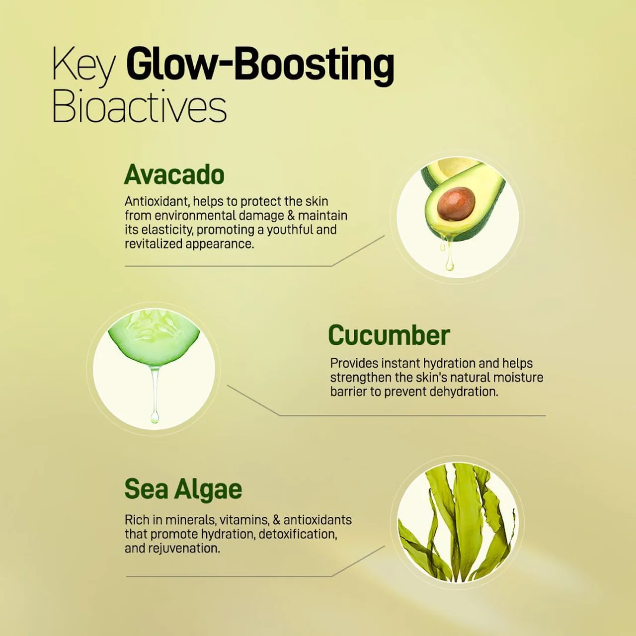 Refresh Botanicals - Restoring Night Serum - Avocado & Cucumber | 50 mL - Image 3