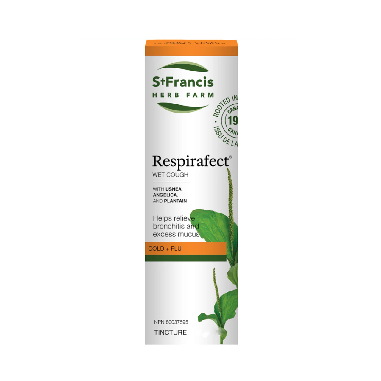 St. Francis – Usnea Combo Herbal Tincture | 50 mL
