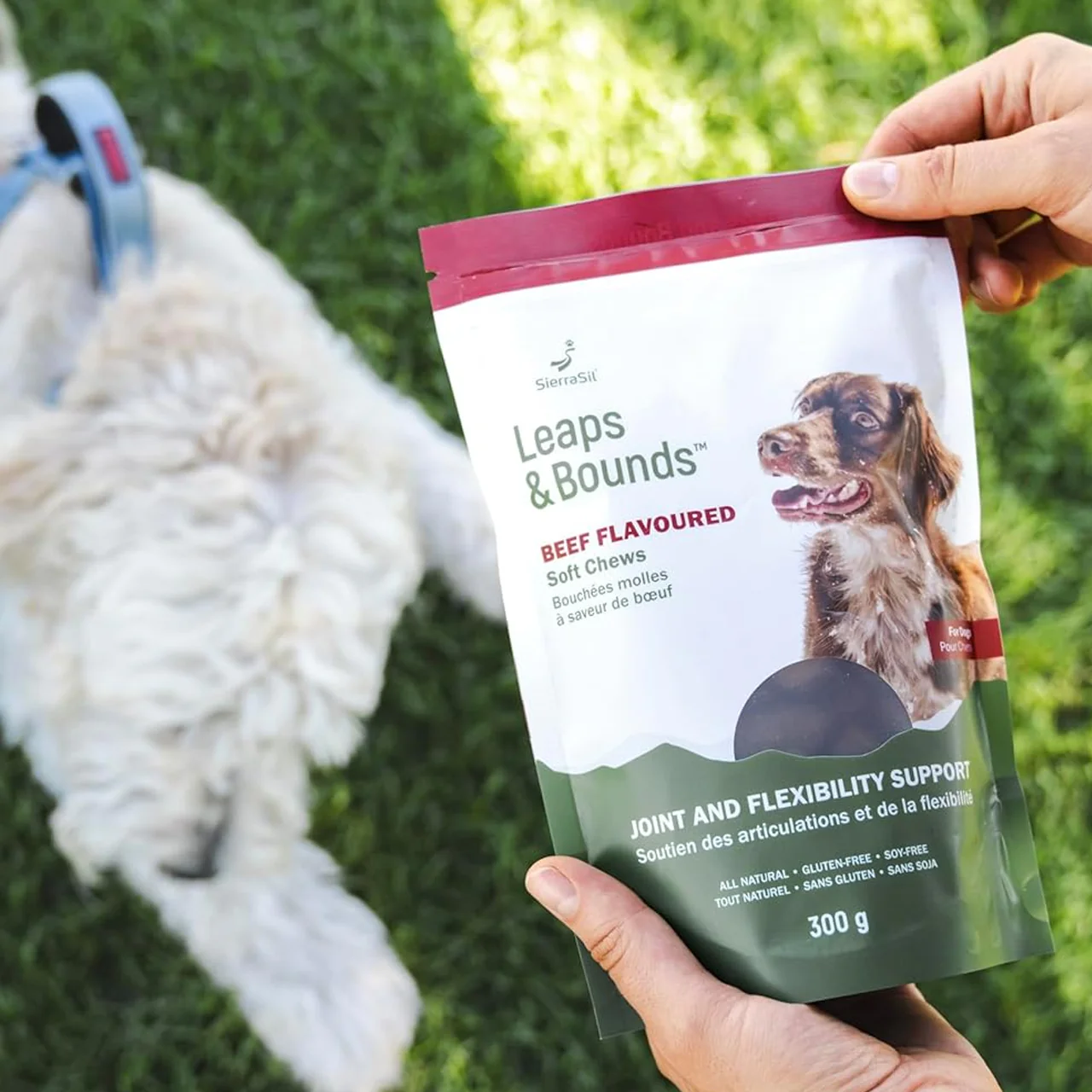 SierraSil - Leaps & Bounds Soft Chews - Beef Flavoured | 300 g - Image 2
