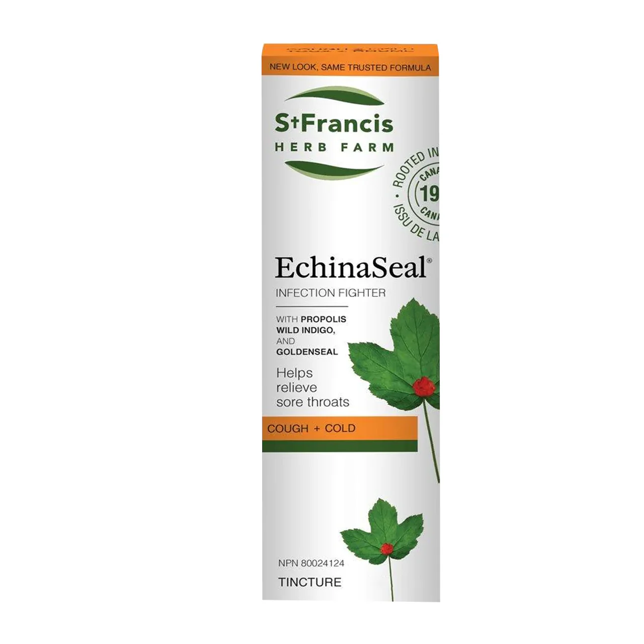 St Francis - EchinaSeal Cough + Cold | 50 mL - Image 4