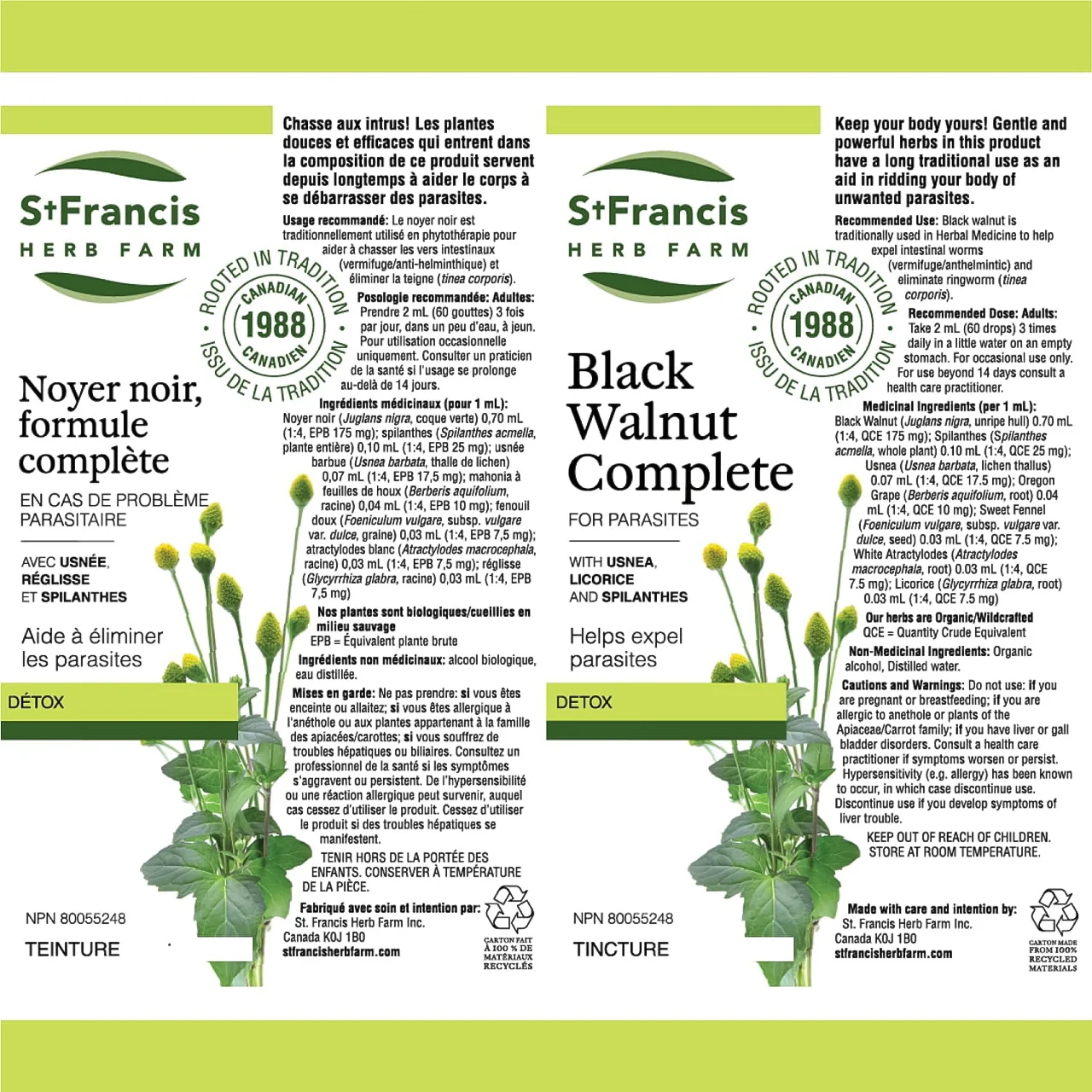 St. Francis - Black Walnut Complete Tincture | 50 mL - Image 2
