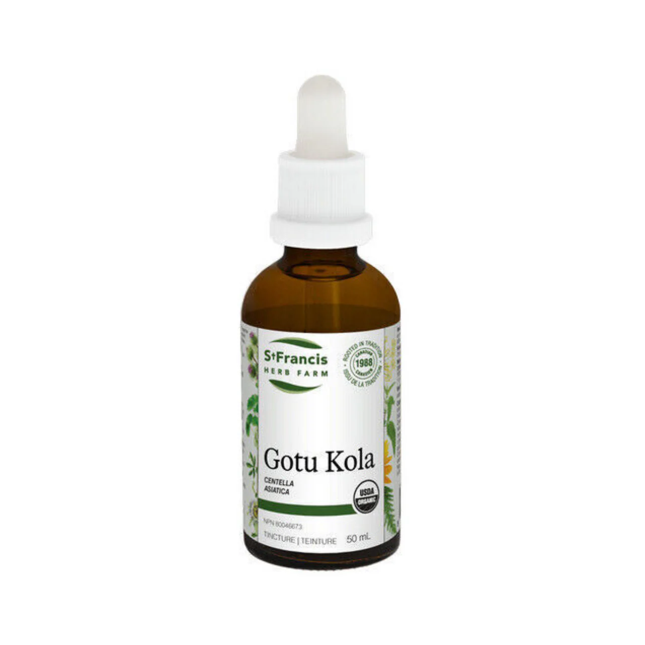 St. Francis - Gotu Kola Tincture | 50 mL