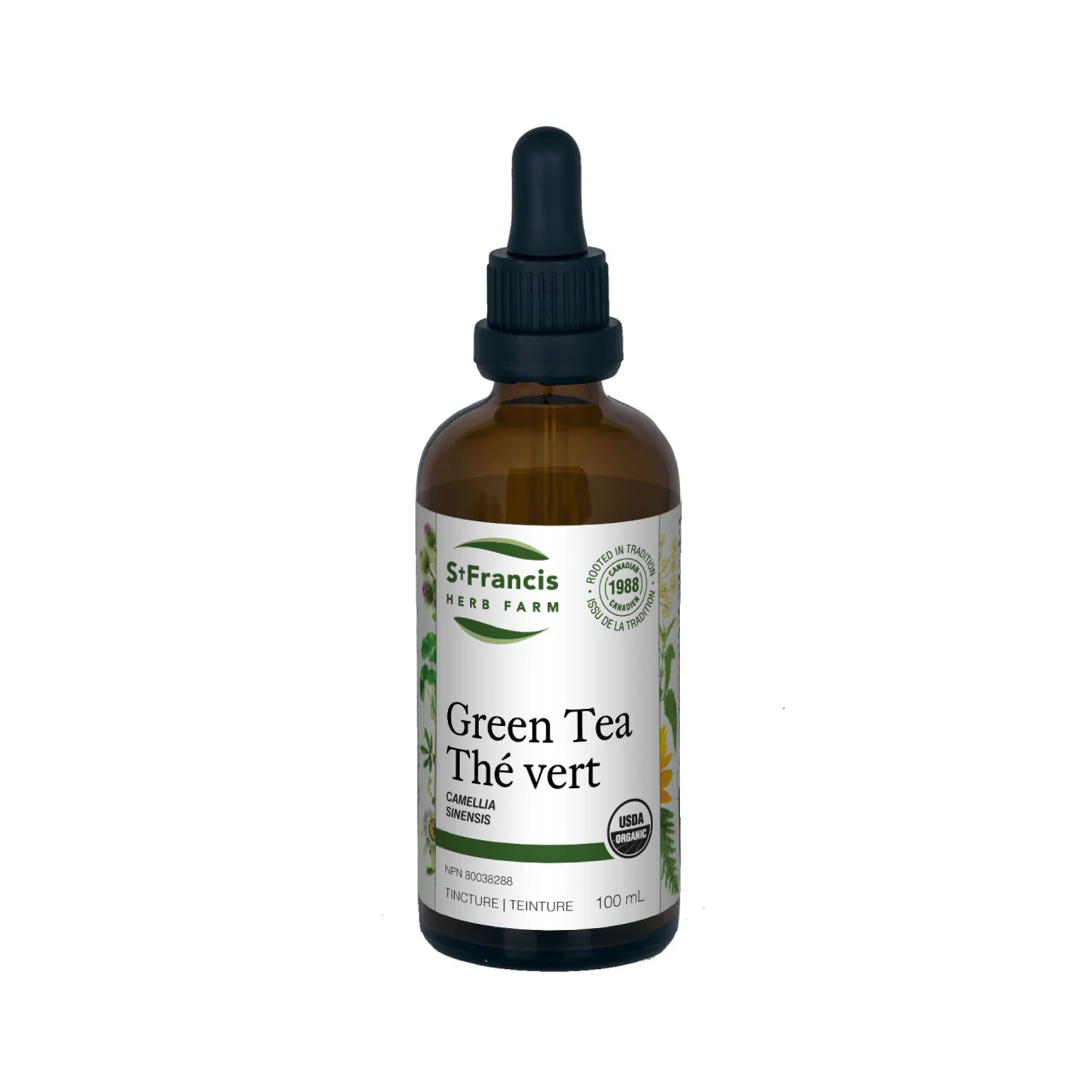 St. Francis - Green Tea Tincture | 100 mL