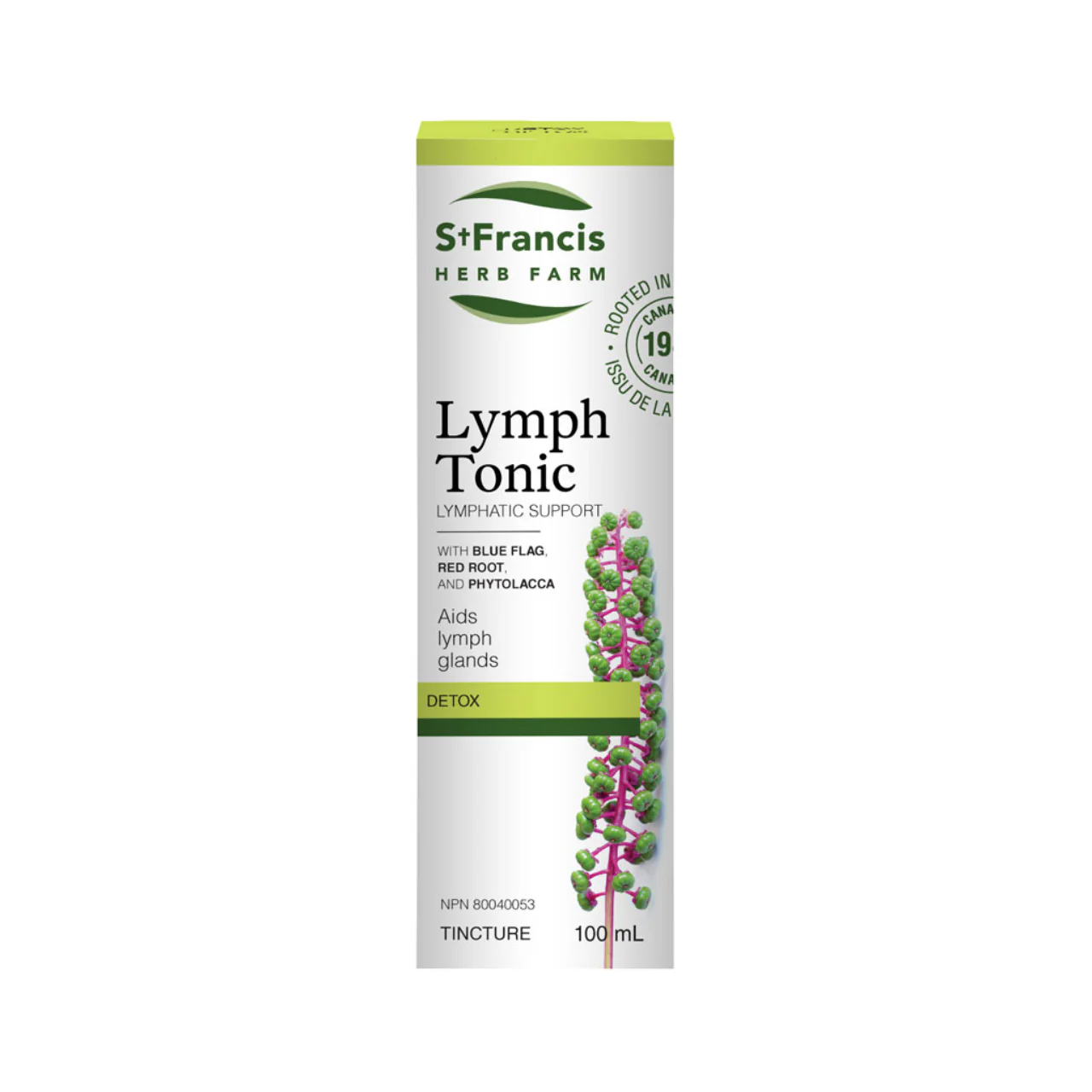 St. Francis - Lymph Tonic | 100 mL