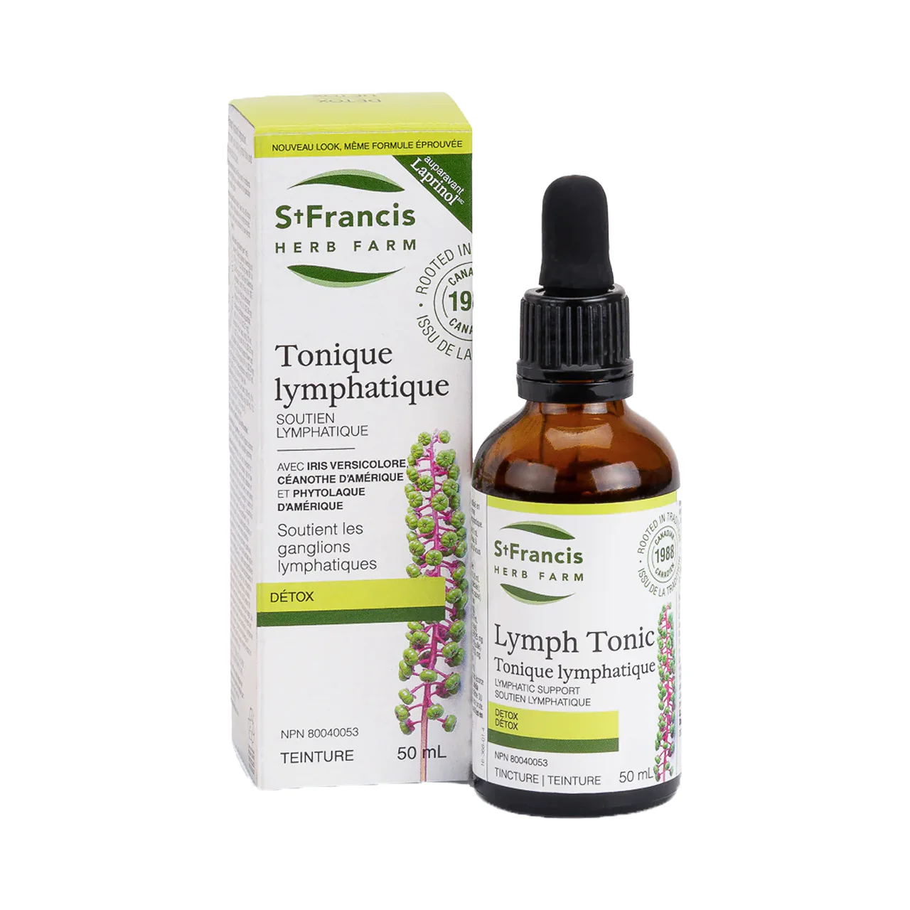 St. Francis - Lymph Tonic | 50 mL - Image 2