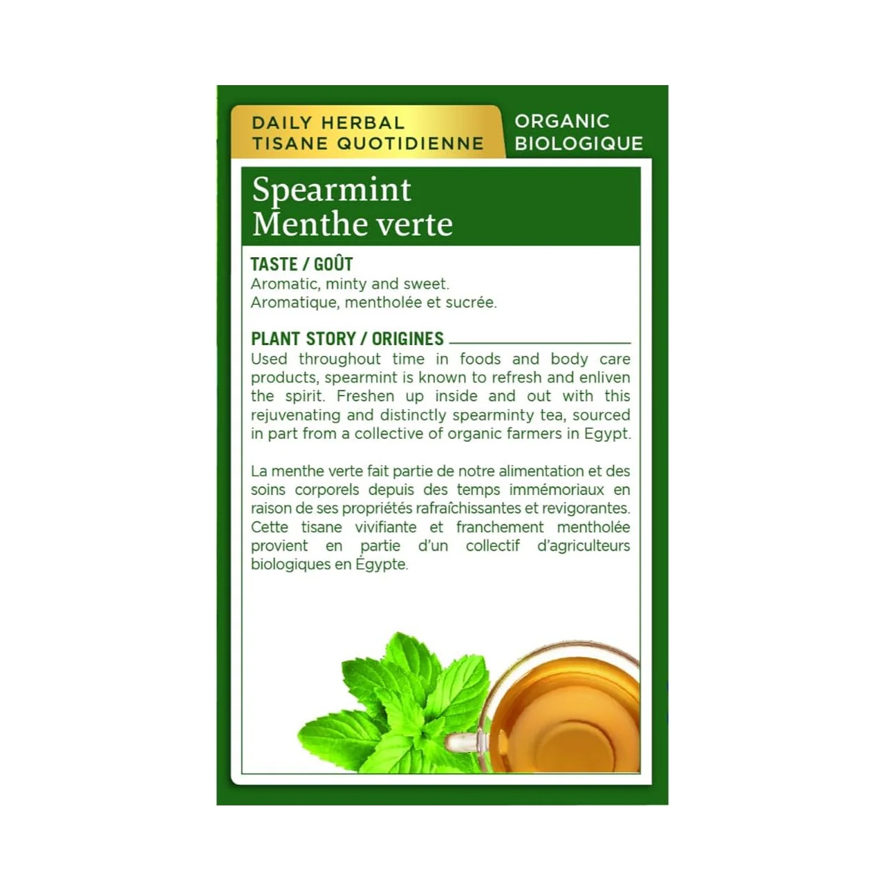 Traditional Medicinals - Organic Spearmint | 16 Tea Bags - Image 2