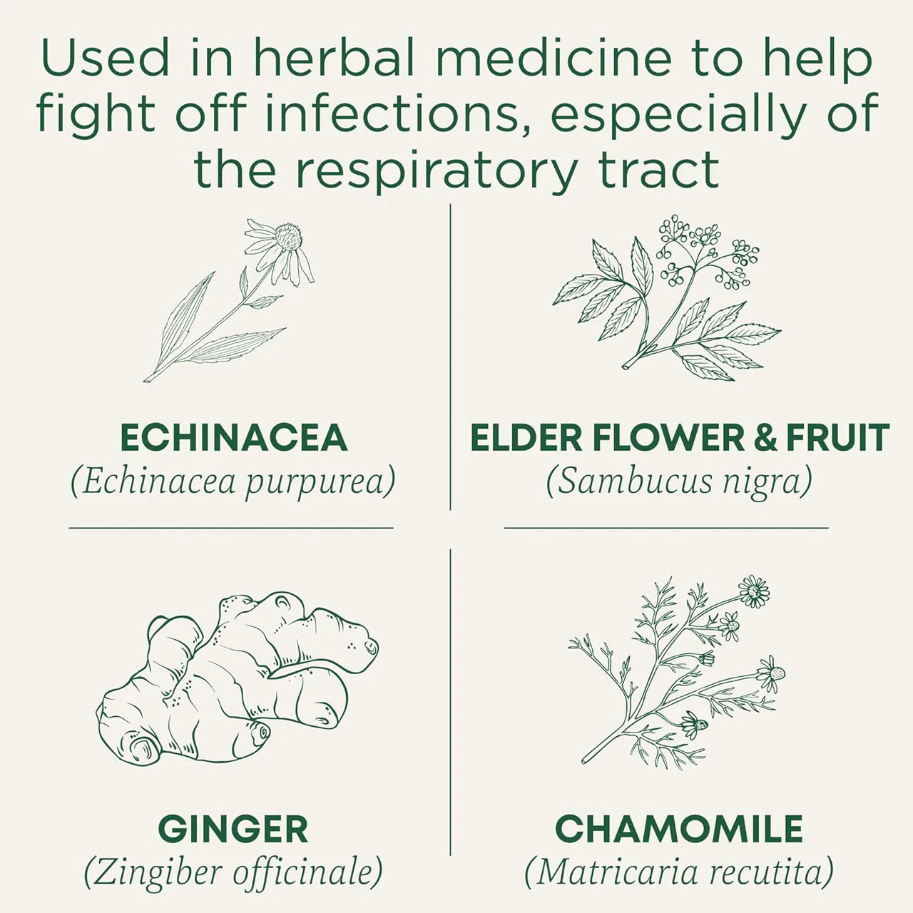 Traditional Medicinals - Organic Echinacea Plus, Elderberry | 24 g - Image 2