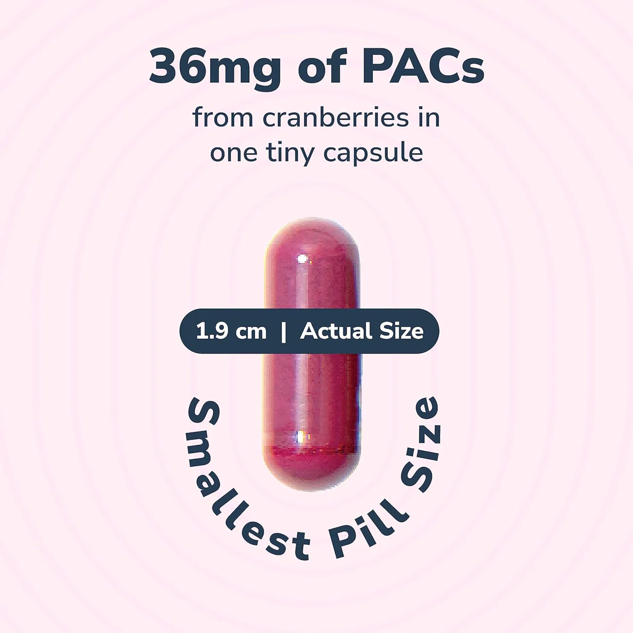 Utiva - Cranberry PACs 36 mg, UTI Prevention & Control Supplement | 30 Vegicaps - Image 3