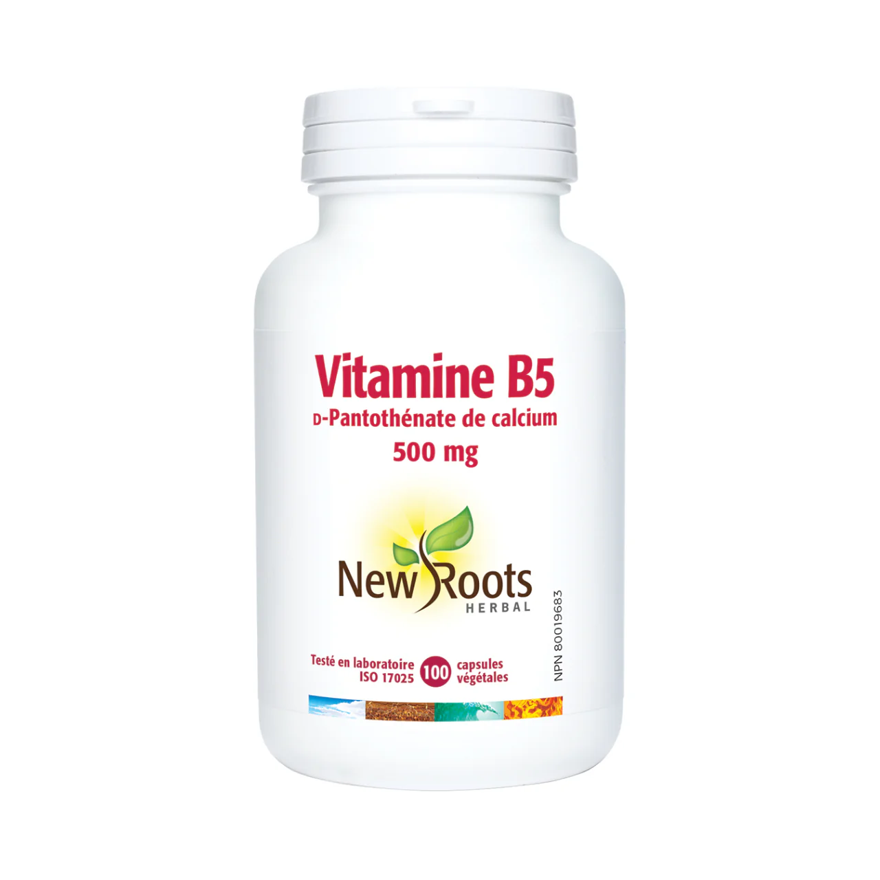 New Roots - Vitamin B5 CalcIUm ᴅ‑Pantothenate 500 mg | 10 0Capsules - Image 2