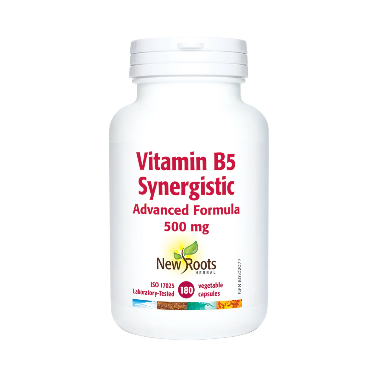 New Roots - Vitamin B5 Synergistic Advanced Formula 500 mg | 180 Capsules