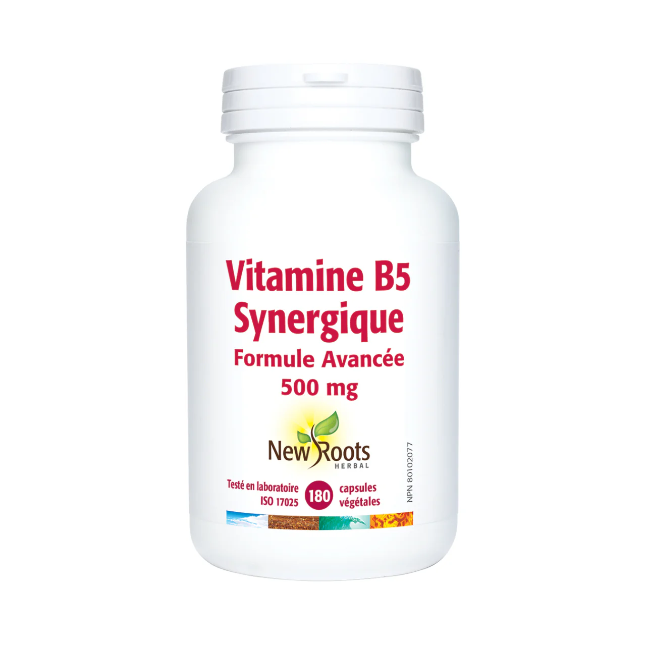 New Roots - Vitamin B5 Synergistic Advanced Formula 500 mg | 180 Capsules - Image 2