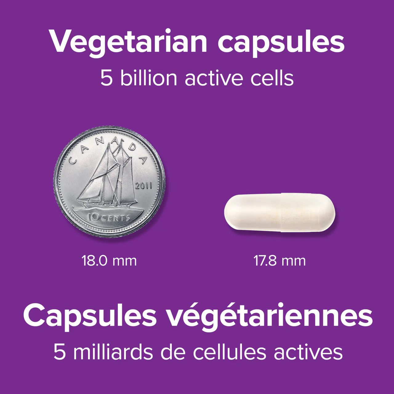 Webber Naturals - Probiotic 5 Billion | 60 Vegetarian Capsules - Image 5