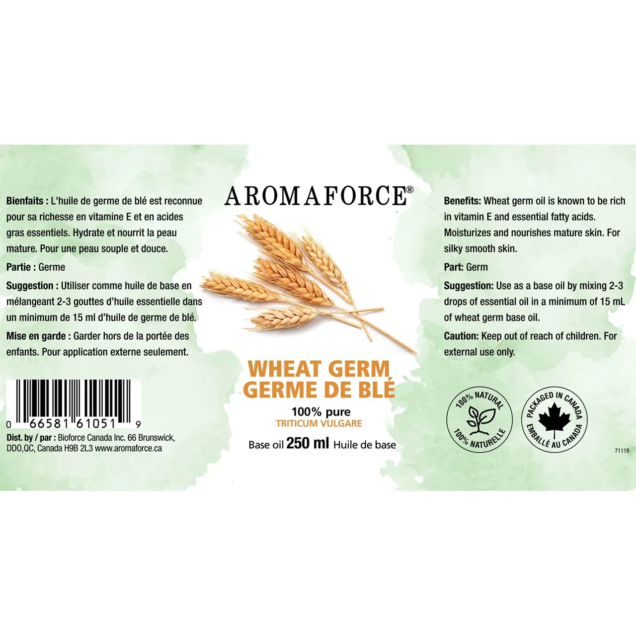 Aromaforce - Wheat Germ Base Oil | 250 mL - Image 2